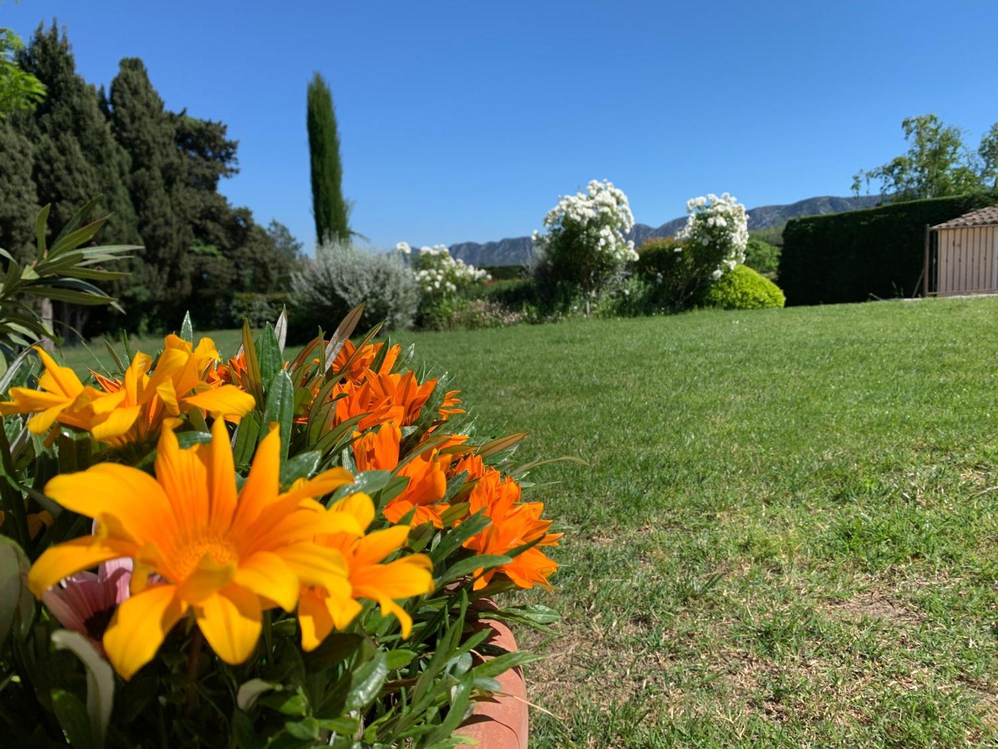 En Provence, Chez Stephanie Et Marcel Saint-Rémy-de-Provence Kültér fotó
