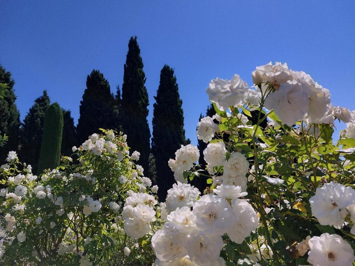 En Provence, Chez Stephanie Et Marcel Saint-Rémy-de-Provence Kültér fotó
